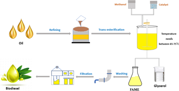 Role of microbial lipases in transesterification process for biodiesel  production | SpringerLink