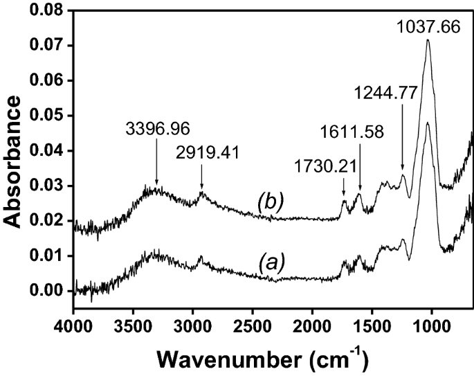 Direct And Simultaneous Quantification Of Rutin And Quercetin In Natural Fruits Base On Purified Arabic Gum Modified Carbon Paste Electrode Springerlink