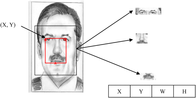 Sketchbased facial recognition a weighted componentbased approach WCBA   SpringerLink