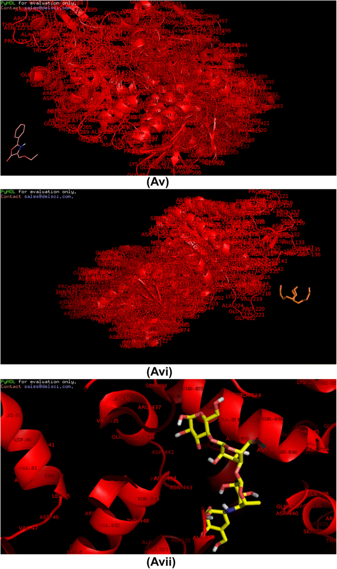 SciELO - Brasil - The potential antidiabetic properties of Liang (<i>Gnetum gnemon</i> var.<i>tenerum</i>) leaves The potential antidiabetic properties of Liang (<i>Gnetum gnemon</i> var.<i>tenerum</i>) leaves