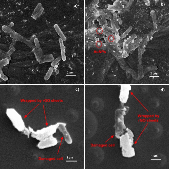 graphene oxide synthesis figure 9