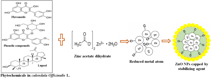 green synthesis of copper nanoparticles thesis figure 2