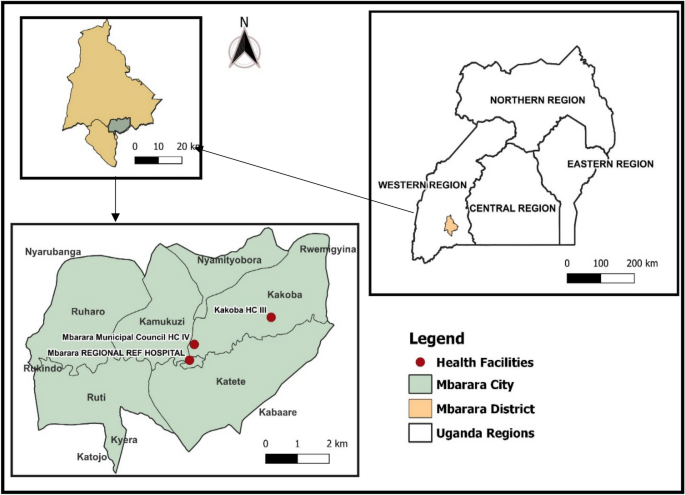 recent literature review on malaria parasite figure 1