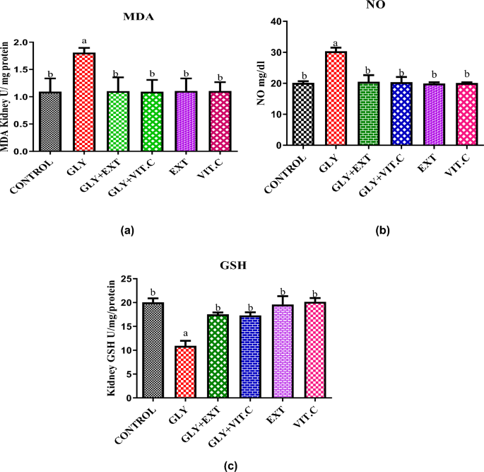 Phytochemical, acute toxicity and protective role of Xylopia aethiopica  stem-bark ethanol extract (XASEE) on glyphosate-induced nephrotoxicity in  Wistar Rat | Discover Applied Sciences | Springer Nature Link