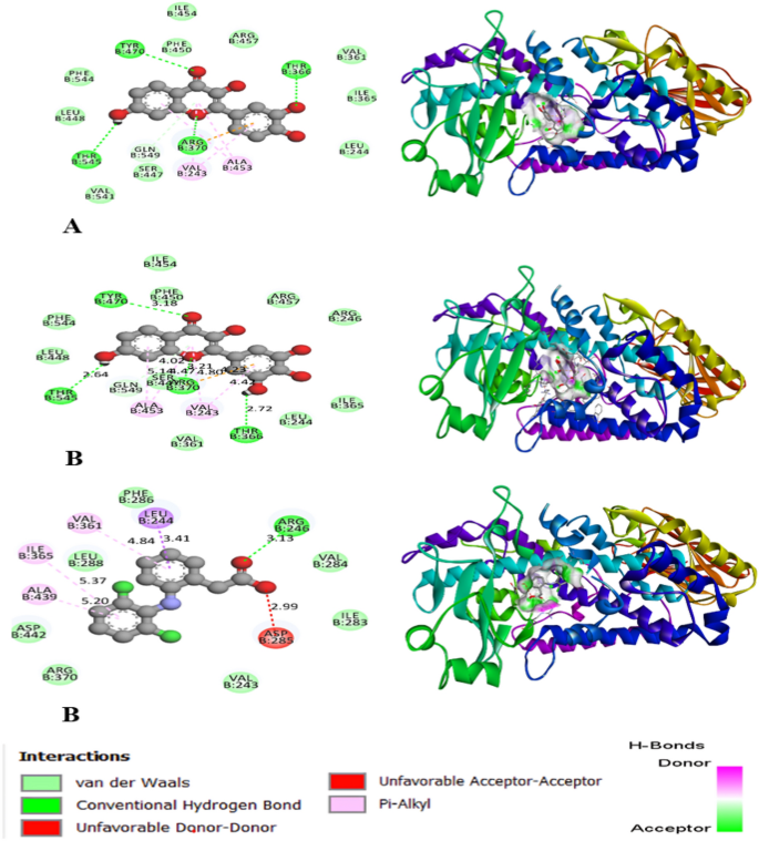 Molecular docking and ADMET analysis of bioactive compounds from ...