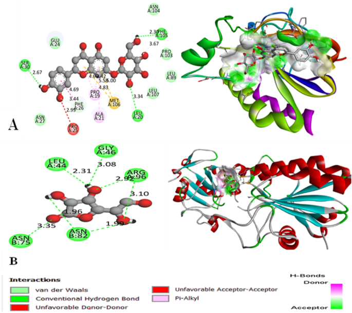 Molecular docking and ADMET analysis of bioactive compounds from ...