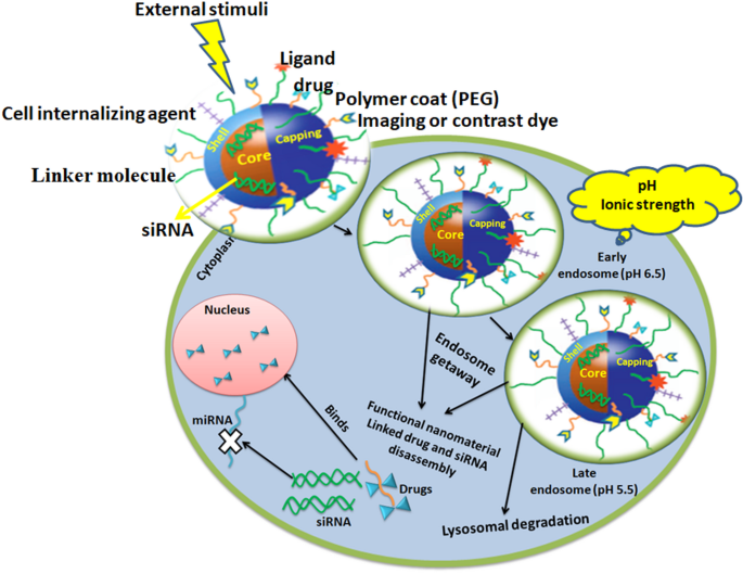 Recent development in targeted gene silencing and cancer therapy by ...