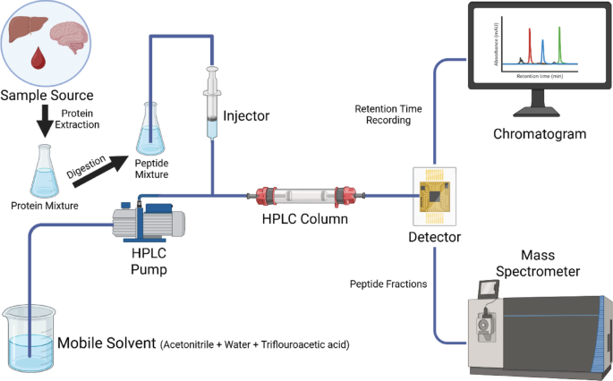Back2Basics: interpreting chromatograms in LC-MS based proteomics ...
