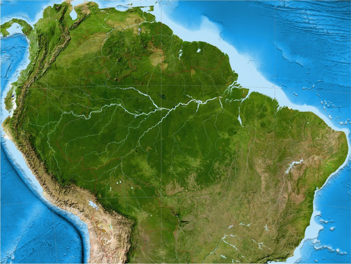The Amazon River Modeled as a Giant Snake | SpringerLink