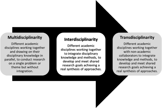 interdisciplinary vs multidisciplinary