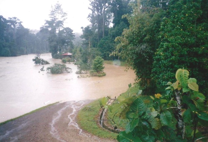 Scholar in the SEPR spotlight: Ian Douglas SpringerLink