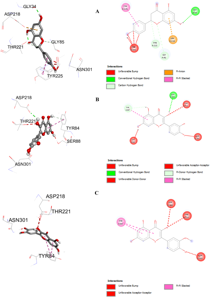 In vitro biological effects and in silico docking properties of ...
