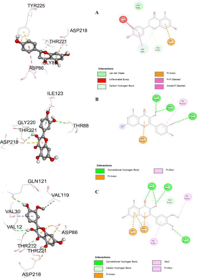 In vitro biological effects and in silico docking properties of ...
