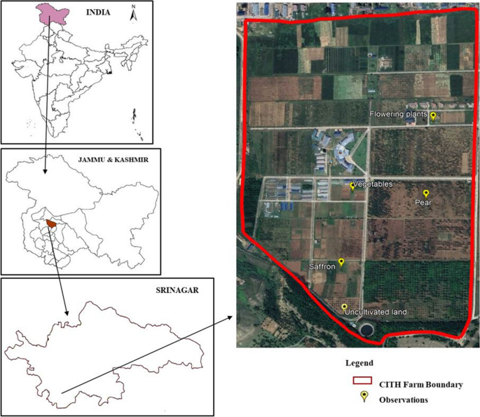 Impact of land use Change on Carbon Management Index A Study from the