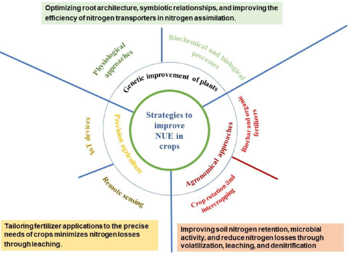 Advances in Nitrogen Use Efficiency of 15N-Enriched Fertilizers: A ...