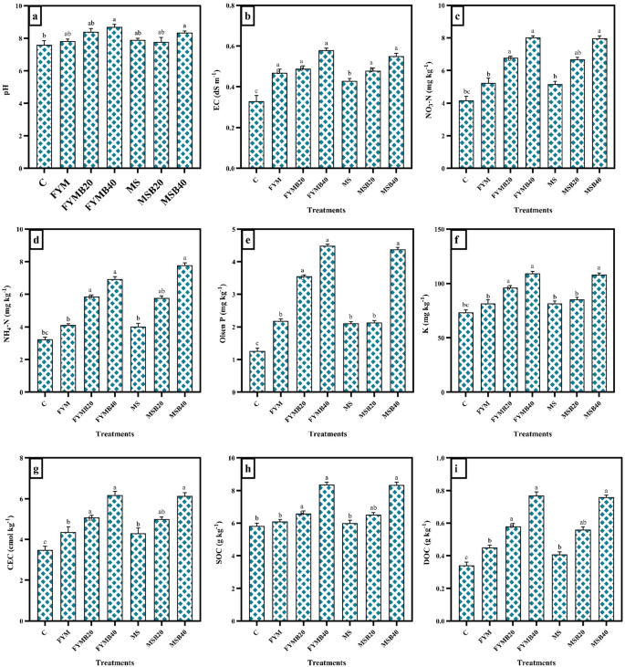 Effect of Different Application Rates and Types of Biochar on Soil ...
