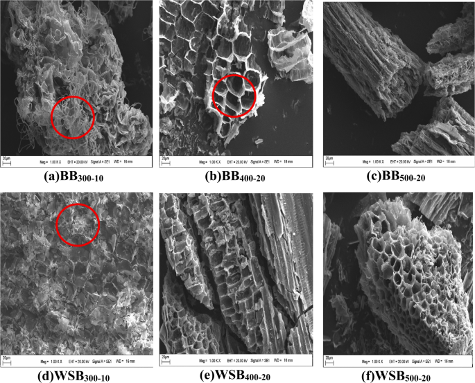 Features of Biochar Produced Under Different Pyrolysis Conditions and ...
