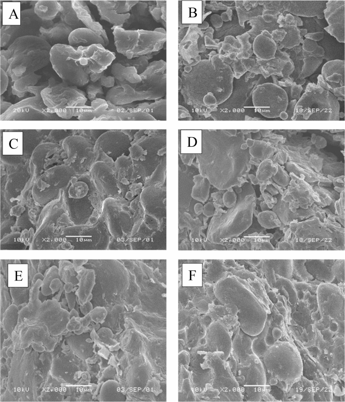 Agronomic Performance and Grain Quality of Bread Wheat (Triticum ...