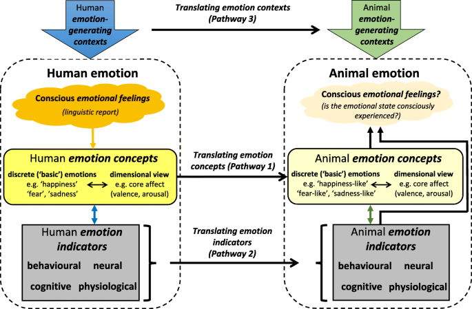Bridging the Gap: Human Emotions and Animal Emotions | SpringerLink