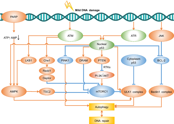 figure2