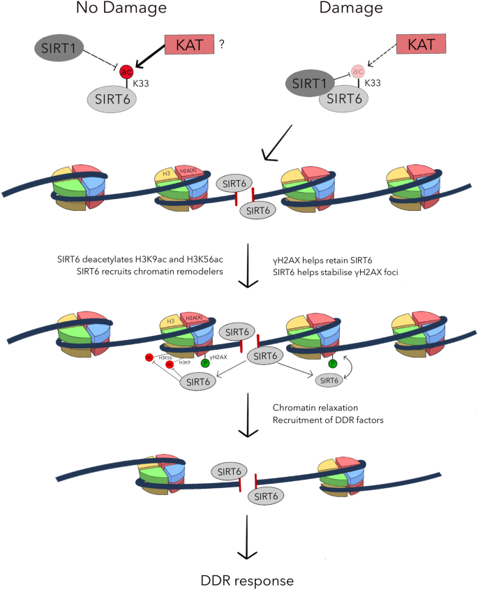 figure1