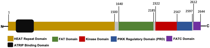 figure1