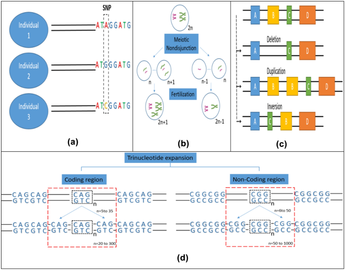 figure1