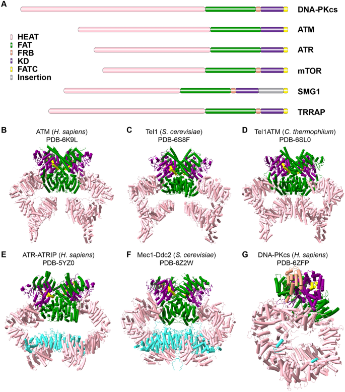 ATM] Cryo-EM: Molecular Biophysics – Introduction to Cryo-EM