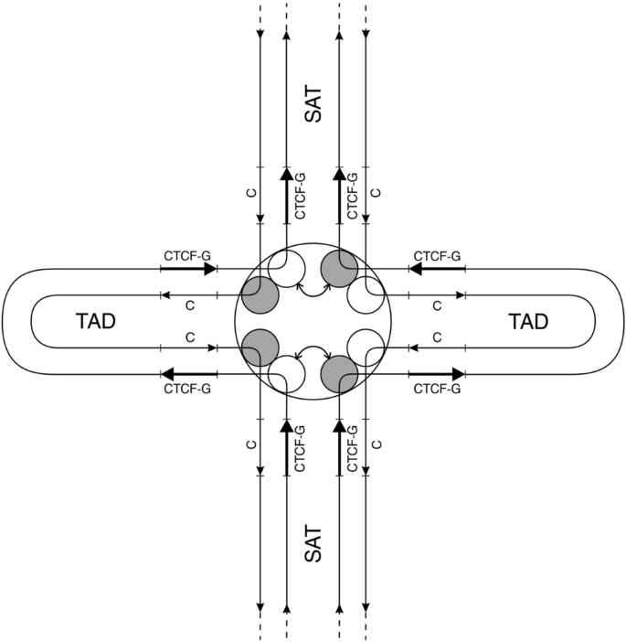 figure3