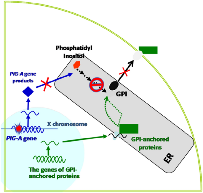 figure2