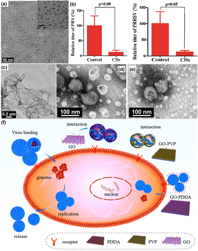 A novel N95 respirator with chitosan nanoparticles: mechanical, antiviral,  microbiological and cytotoxicity evaluations