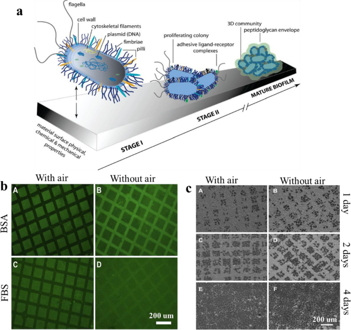 Recent Advances in Superhydrophobic and Antibacterial Cellulose