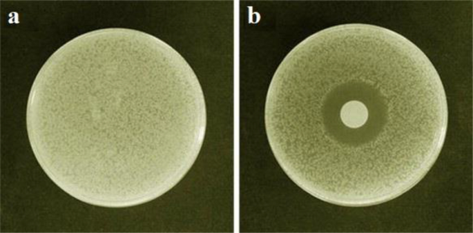 figure 19