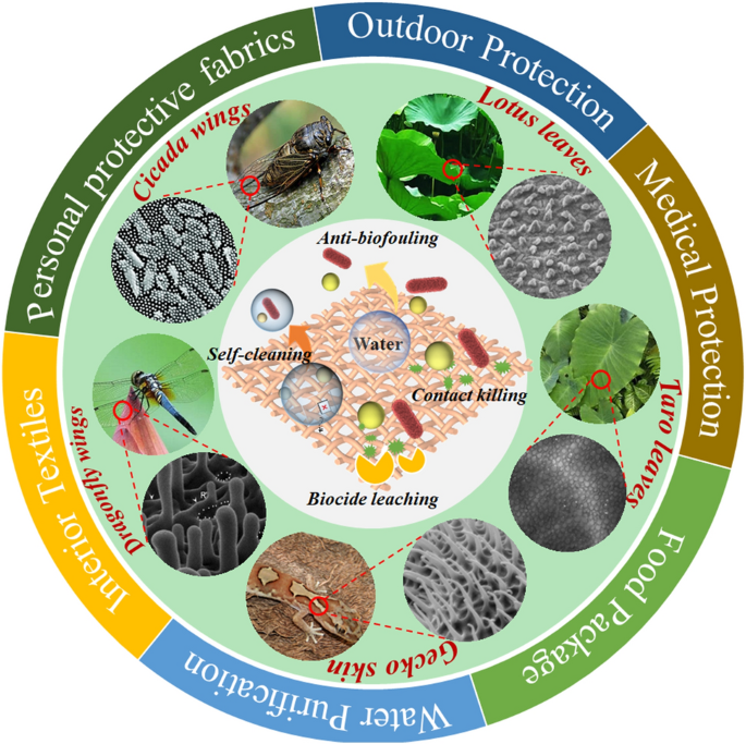 Recent Advances in Superhydrophobic and Antibacterial Cellulose