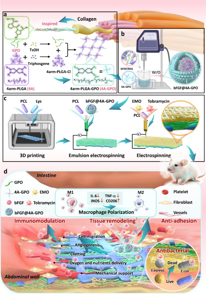 Collagen-Inspired 3D Printing Electrospinning Biomimetic Patch for ...