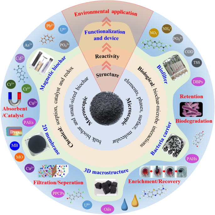 Biochar mitigates bioavailability and environmental risks of