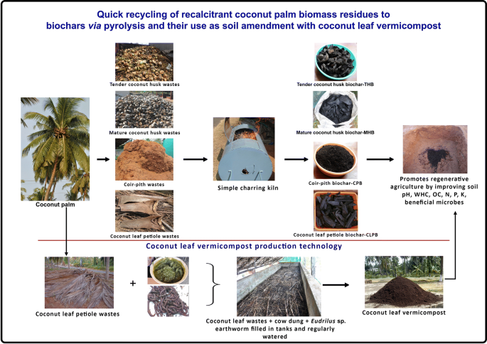 Biochars produced from coconut palm biomass residues can aid