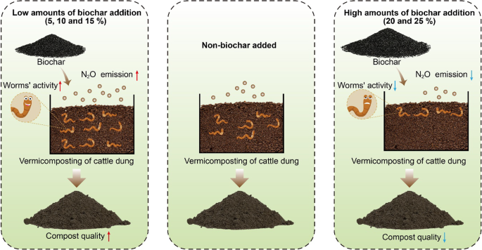 Vermicomposting produces rich soil additive