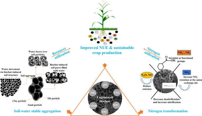 How does biochar so effectively control nematodes? - Carbon Gold