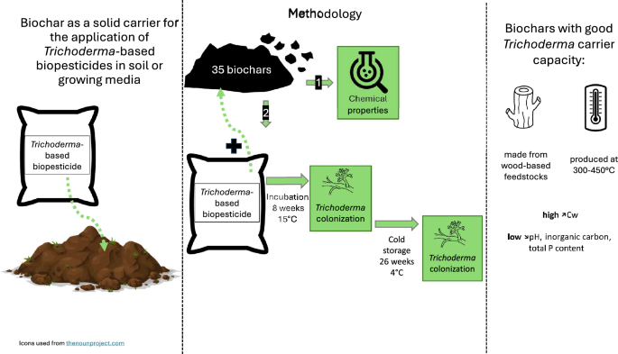 Wood-based biochars produced at low pyrolysis temperatures are good ...
