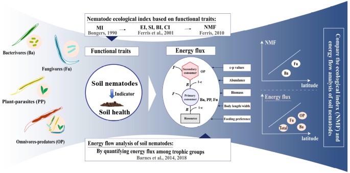 research paper on soil analysis pdf