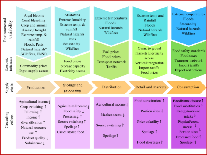 Challenges and Technological Constraints in India’s Food Supply Chain ...
