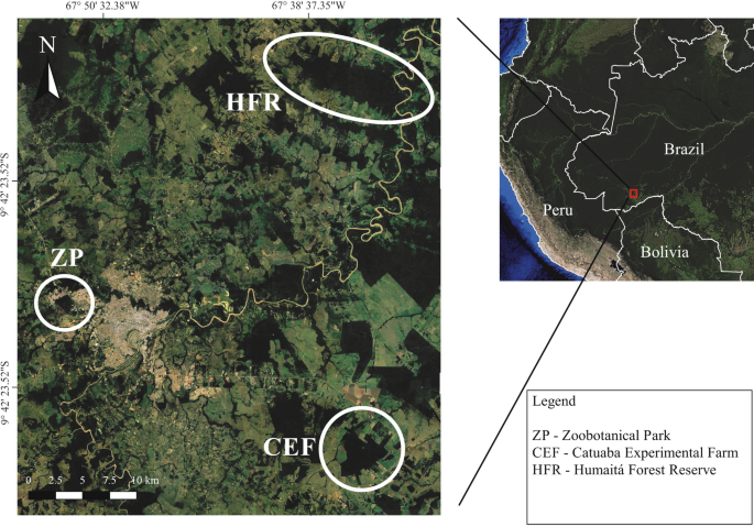 Birds of Humaitá Forest Reserve, Acre, Brazil: an important forest fragment  in south-west ia