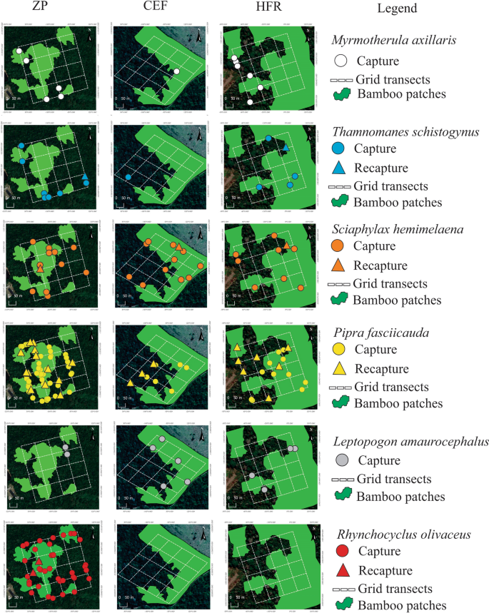 Birds of Humaitá Forest Reserve, Acre, Brazil: an important forest fragment  in south-west ia