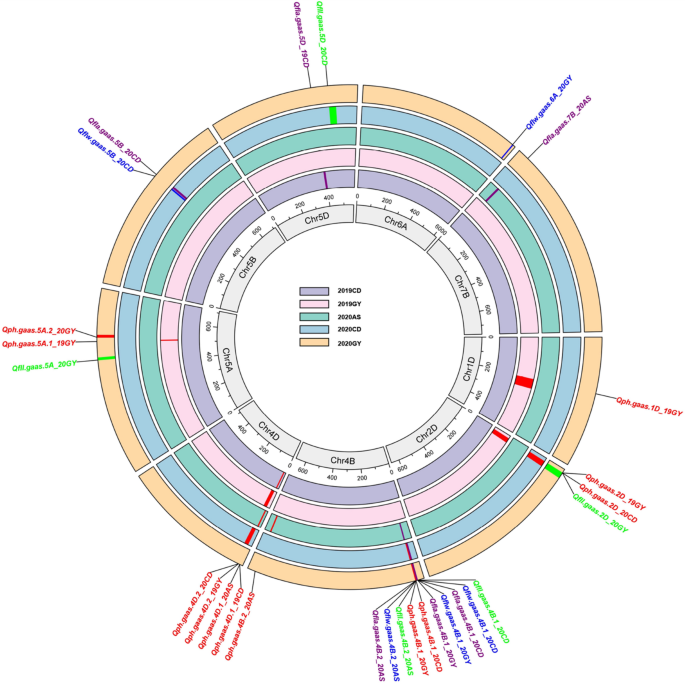 research paper on plant cell figure 3