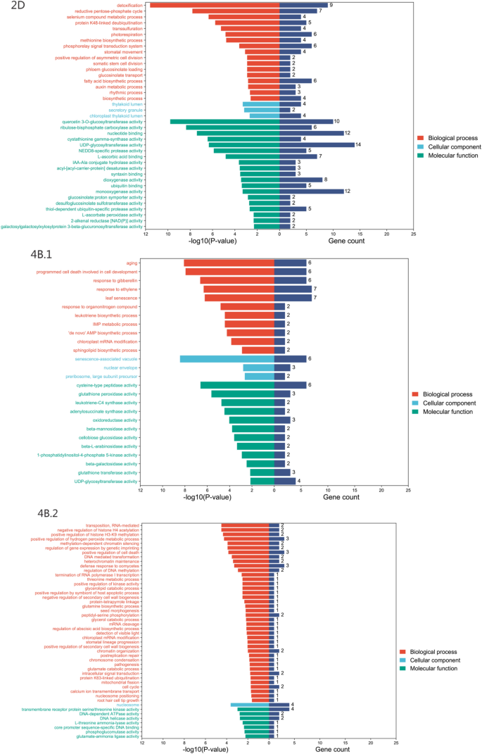 research paper on plant cell figure 4