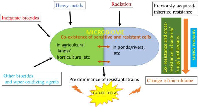 Biologia Futura Use Of Biocides During Covid 19 Global Reshuffling Of The Microbiota Springerlink