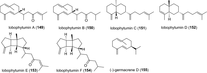 figure 28