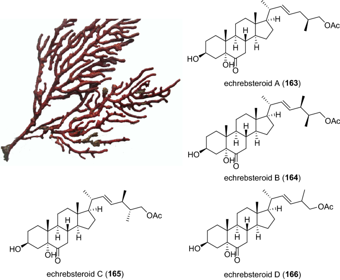 figure 31