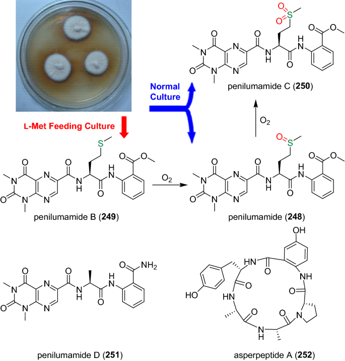 figure 44